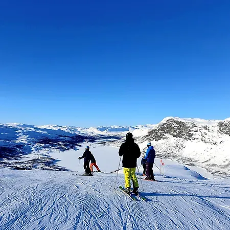 Filefjellhytta Ved Tyin Og Jotunheimen In Og Out Til Alpinanlegg Og Skiloyper Ferienhaus Tyinkrysset
