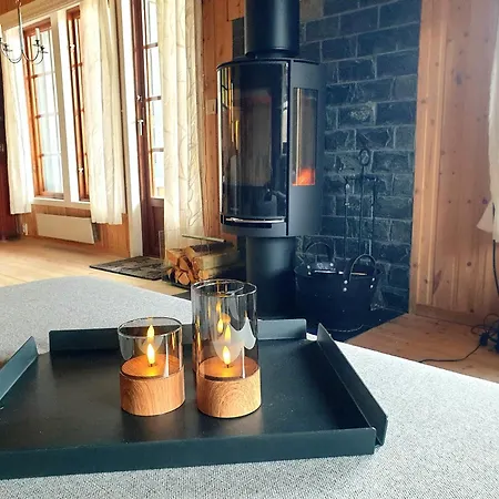 Ferienhaus Filefjellhytta Ved Tyin Og Jotunheimen In Og Out Til Alpinanlegg Og Skiloyper *