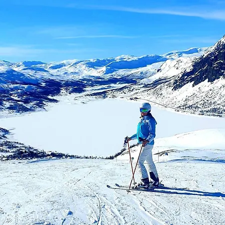 Ferienhaus Filefjellhytta Ved Tyin Og Jotunheimen In Og Out Til Alpinanlegg Og Skiloyper Tyinkrysset