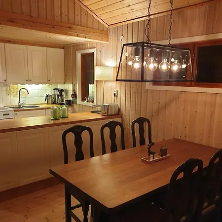 Filefjellhytta Ved Tyin Og Jotunheimen Feriehus *