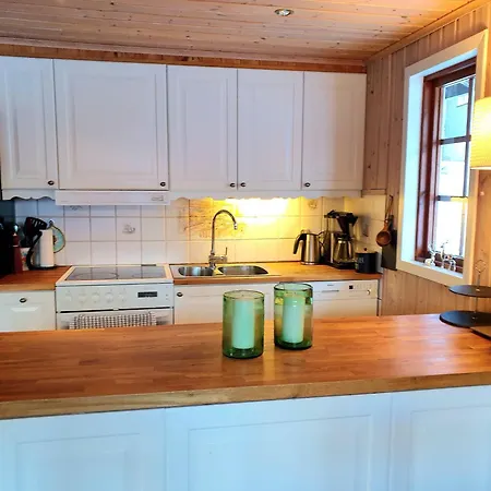 Filefjellhytta Ved Tyin Og Jotunheimen Дом отдыха Tyinkrysset