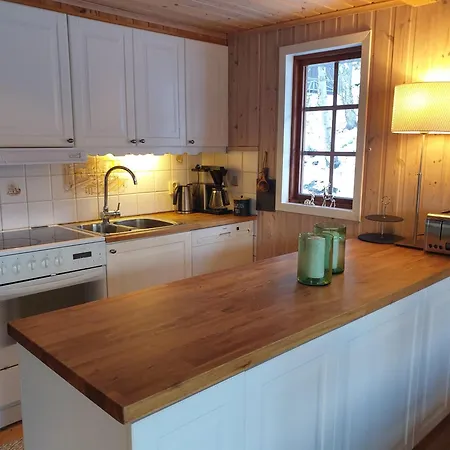 Filefjellhytta Ved Tyin Og Jotunheimen *