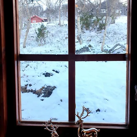 Filefjellhytta Ved Tyin Og Jotunheimen