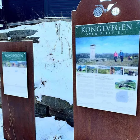 Filefjellhytta Ved Tyin Og Jotunheimen