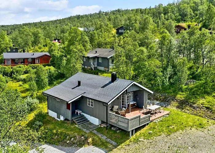 Vakantiehuis Filefjellhytta Ved Tyin Og Jotunheimen In Og Out Til Alpinanlegg Og Skiloyper *