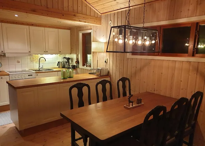 Filefjellhytta Ved Tyin Og Jotunheimen In Og Out Til Alpinanlegg Og Skiloyper Holiday home *