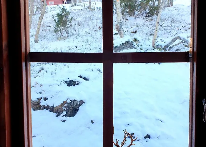 Filefjellhytta Ved Tyin Og Jotunheimen In Og Out Til Alpinanlegg Og Skiloyper